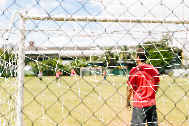 https://burst.shopifycdn.com/photos/view-though-lines-of-a-soccer-net-during-game.jpg?width=746&format=pjpg&exif=0&iptc=0