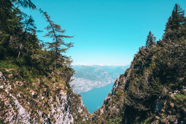 view through moss covered mountains