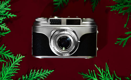 vintage silver camera surrounded by foliage