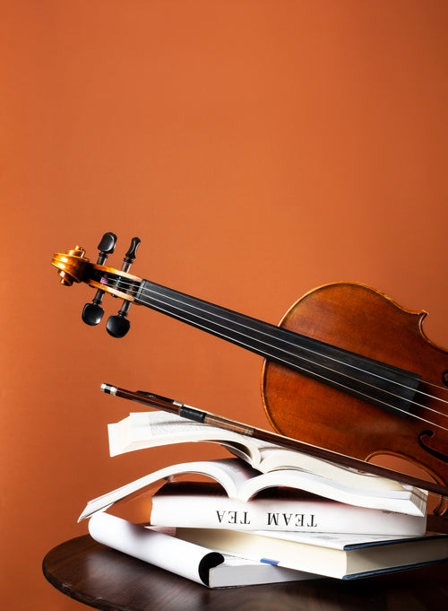 violin and bow on books