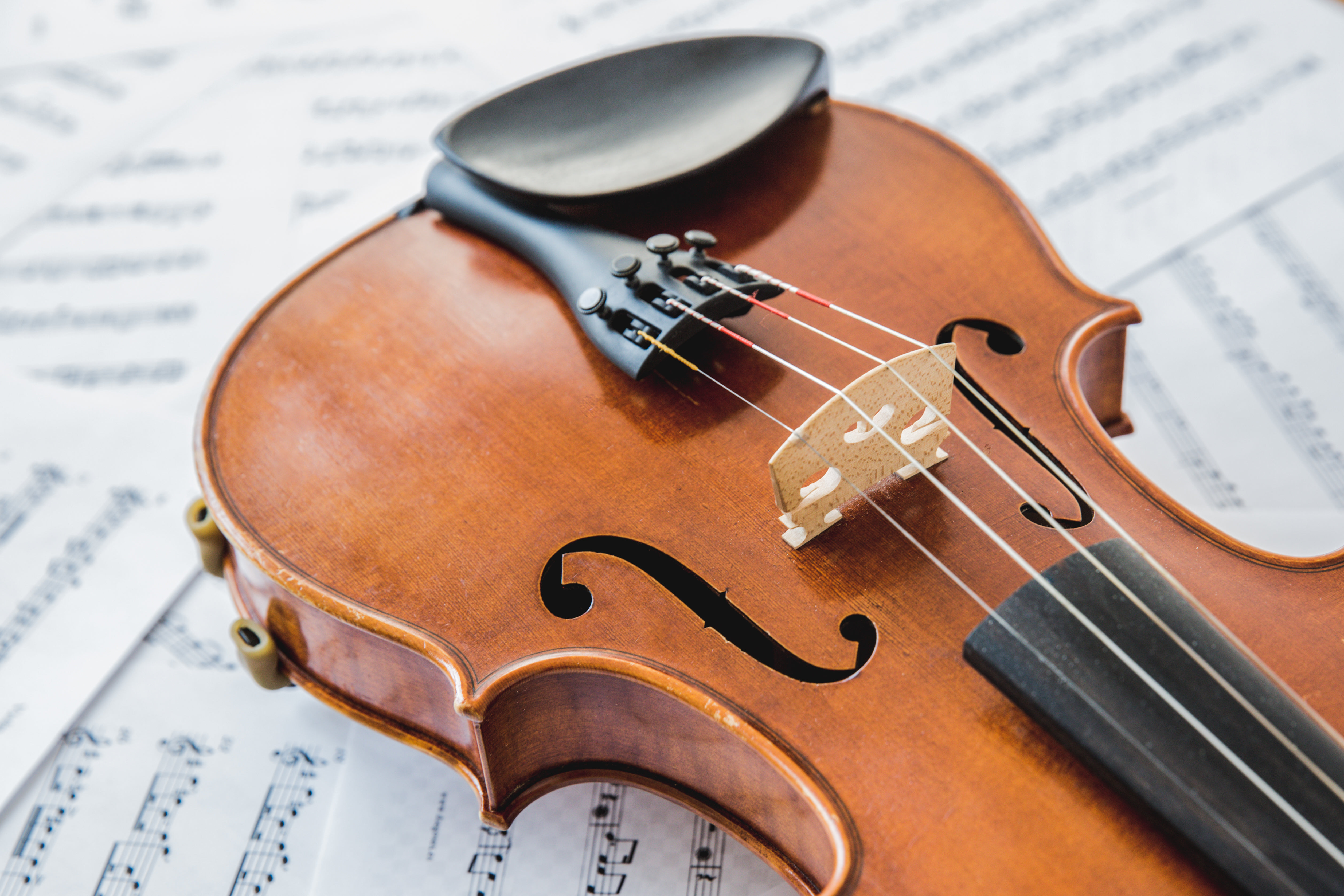 Violin Cellphone Wallpaper Images Free Download on Lovepik | 400608284