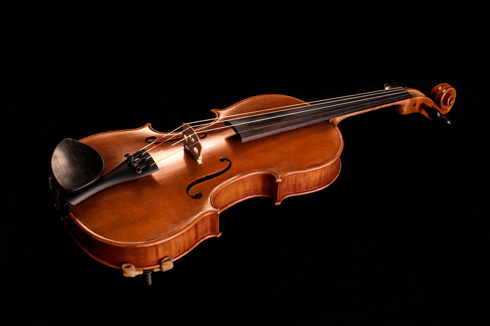 violin fiddle string instrument