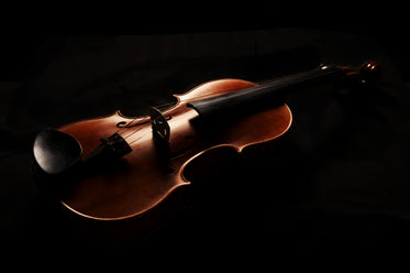 violin in dramatic lighting