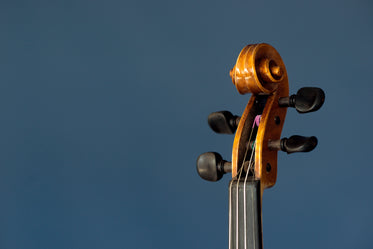 violin instrument neck and tuning pegs