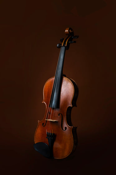 violin instrument on brown background