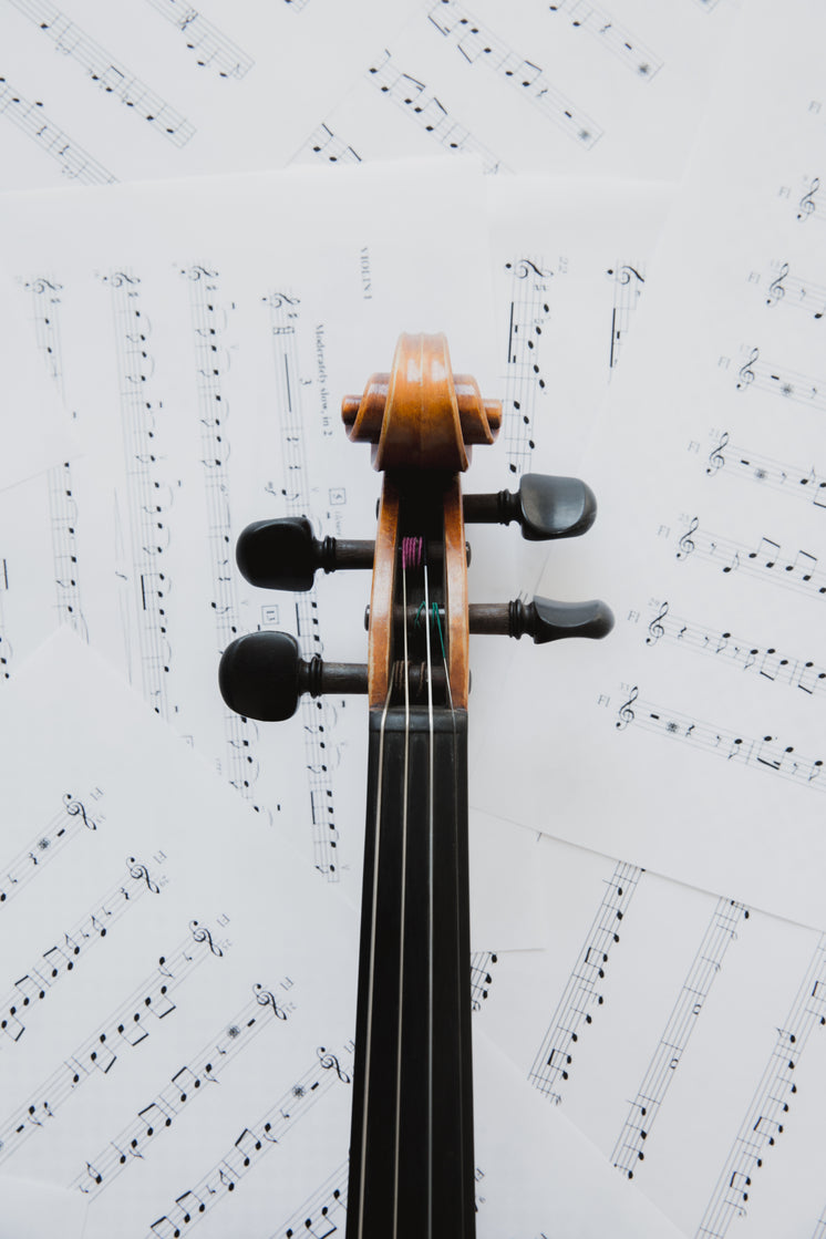 violin-neck-on-music-sheets.jpg?width=746&format=pjpg&exif=0&iptc=0