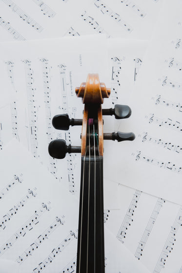 violin neck on music sheets