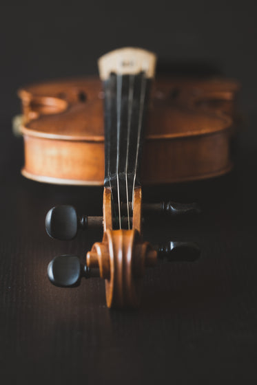 violin vertical