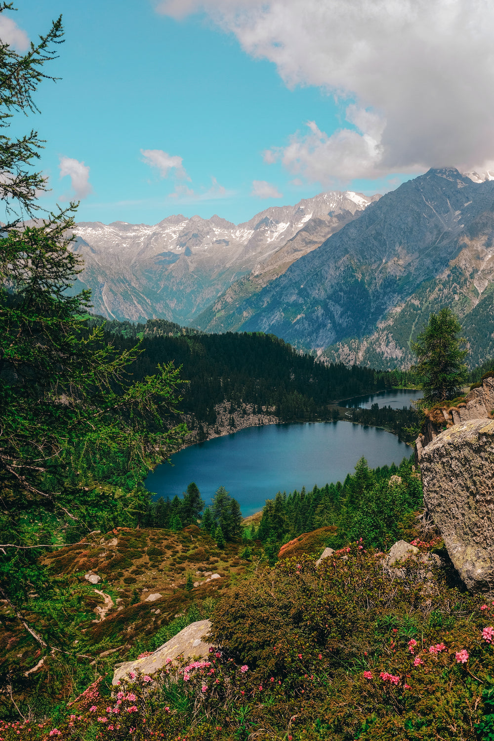 Vivid Colored Hillside With Lake