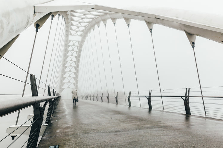 Walkers On Wet Bridge