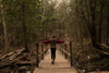 walking across a wooden bridge in the forest