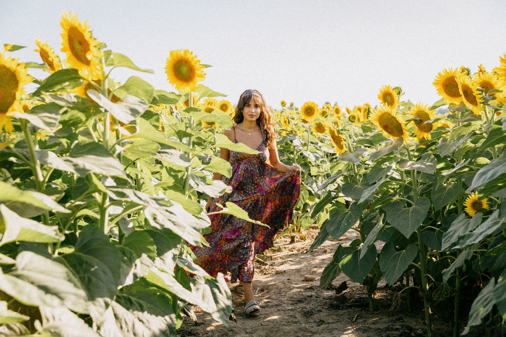 walking between rows of blooming sunflowers