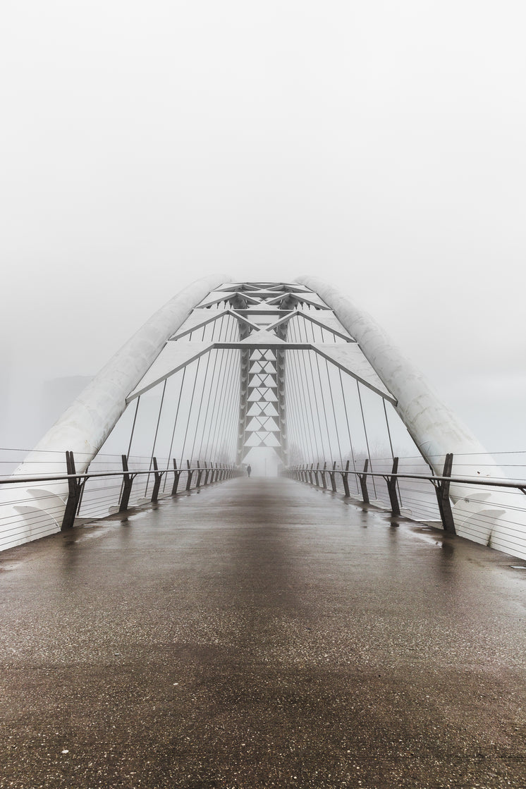 walking-bridge-on-grey-day.jpg?width=746&format=pjpg&exif=0&iptc=0