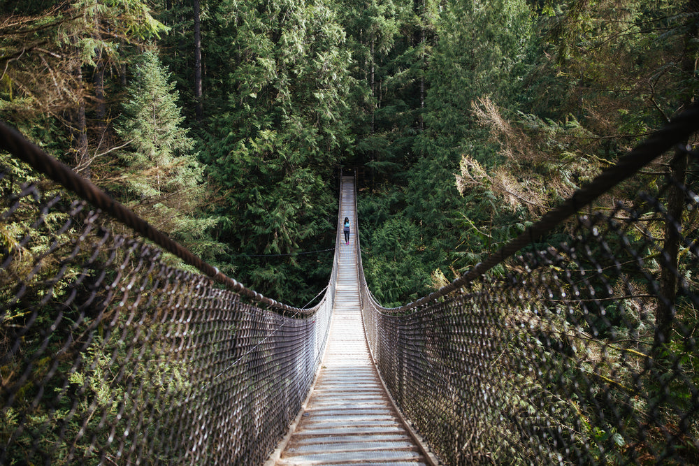 walking bridge