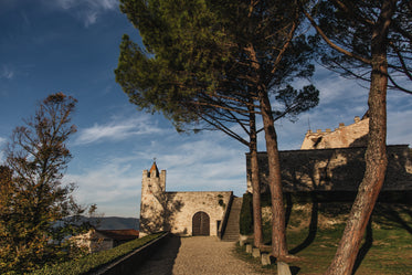 walking path to castle stairs