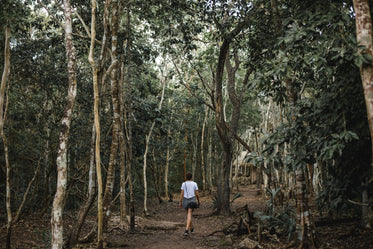 walking through mexican jungle