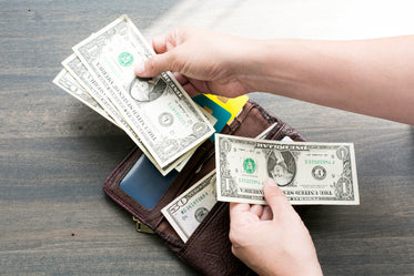 Browse Free HD Images of Wallet and Money