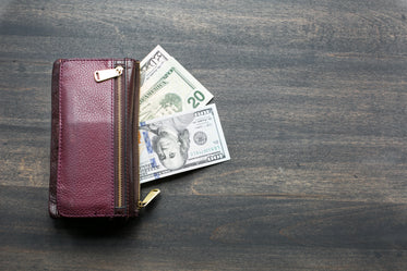 Free Stock Photo of Wallet & Cash — HD Images
