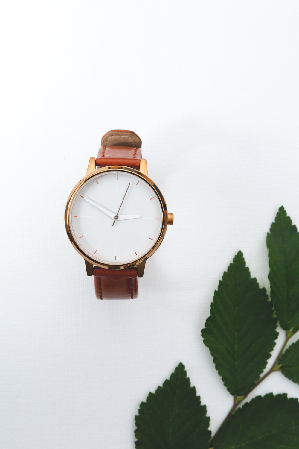 watch with leather strap near leaves