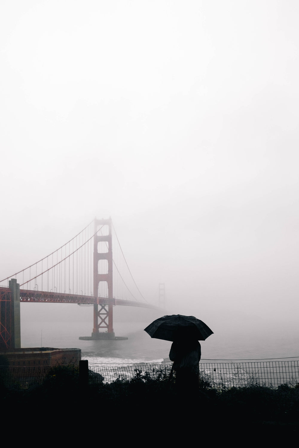 watching golden gate in fog