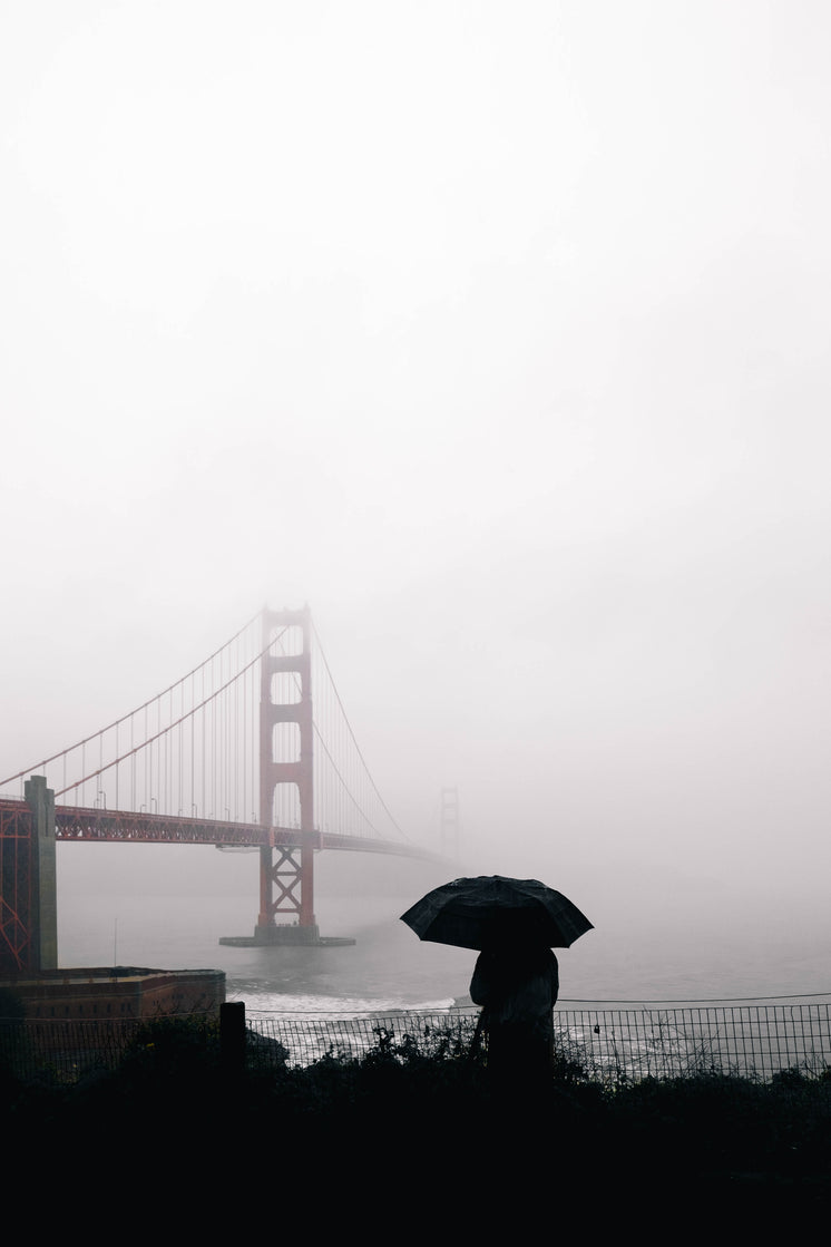 watching-golden-gate-in-fog.jpg?width=74