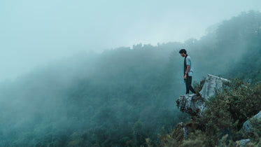 watching the forest mist