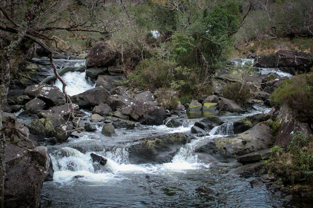 water flowing over a babbling brook