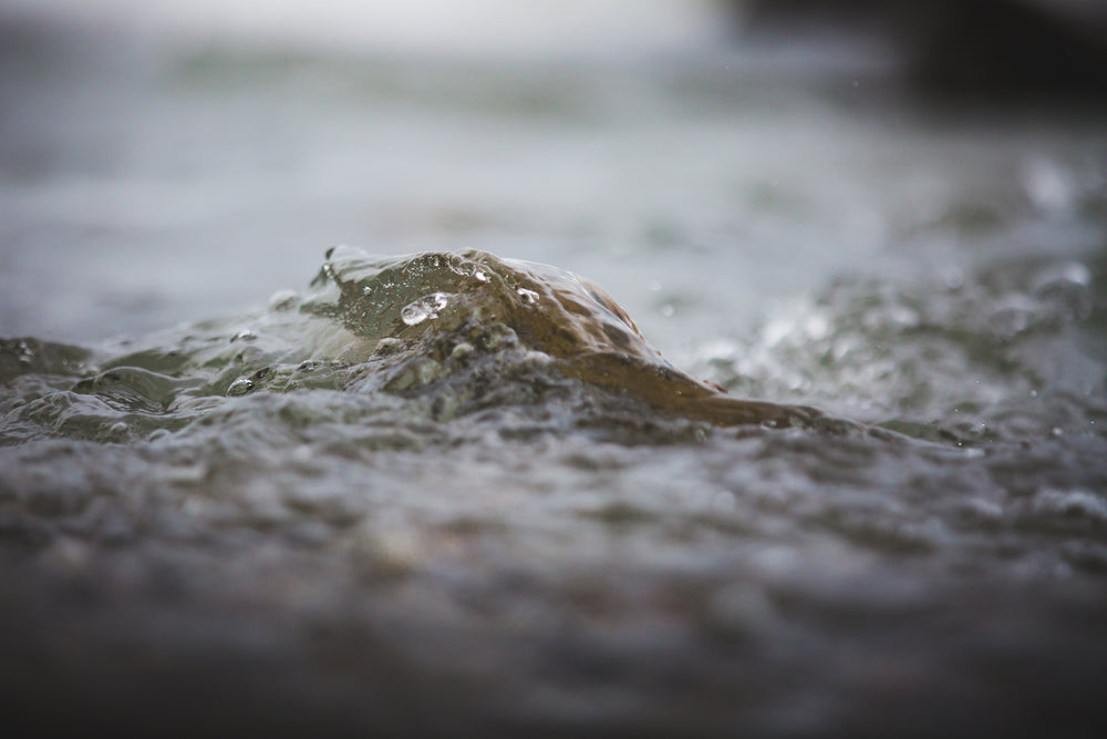 water on rock close up