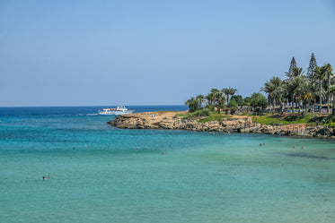 water with palm trees and a rocky shoreline