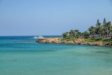 water with palm trees and a rocky shoreline