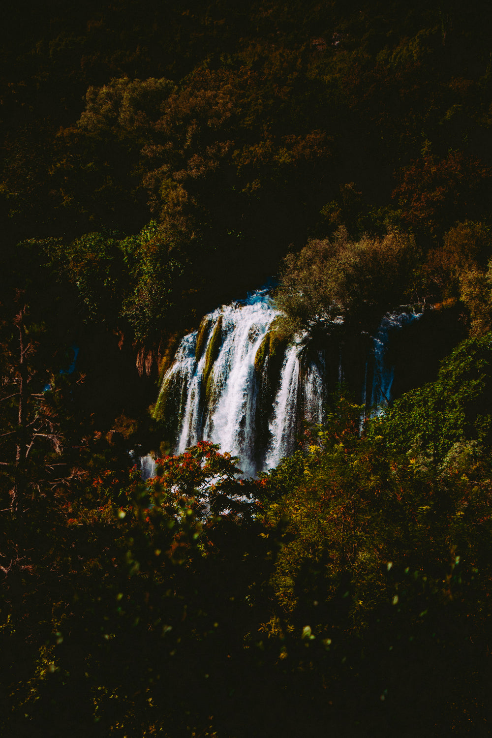 waterfall amongst the forest