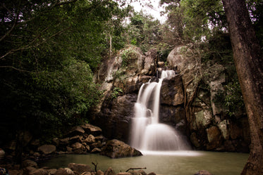 waterfall and lush forest over still water