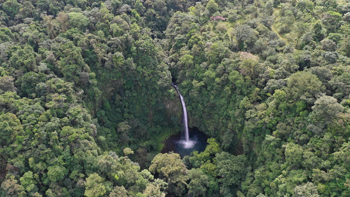 waterfall hidden in forest