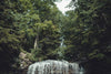 waterfall in dense forest