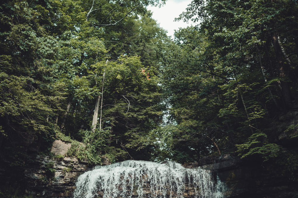 waterfall in dense forest