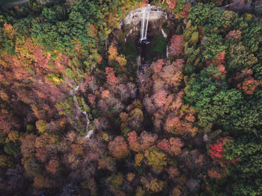 waterfall in fall colors