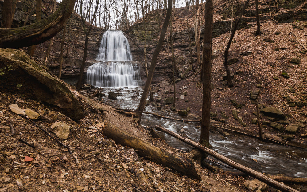 waterfall in the woods