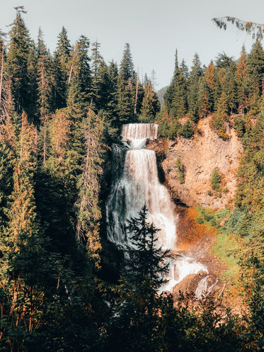 waterfall surrounded by a forest of green trees