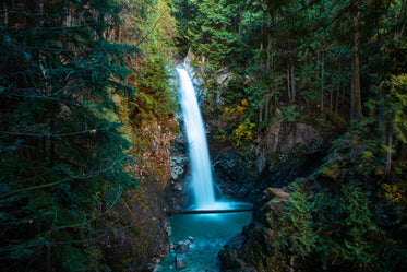 waterfall through a lush green forest