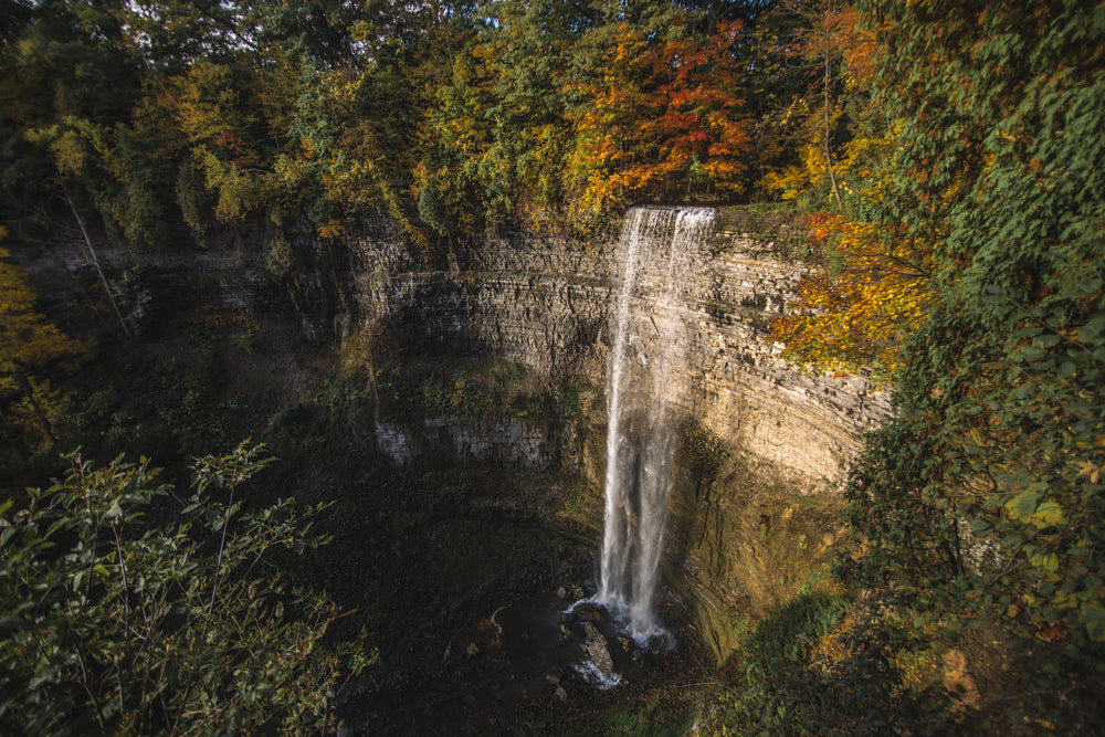 waterfall through fall forest leves