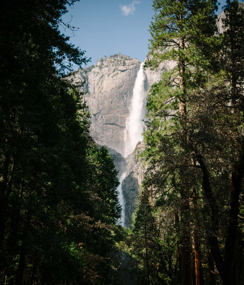 waterfall through trees