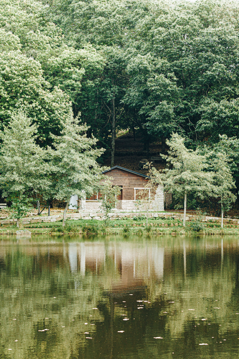 waterfront wood cabin surrounded by lush forest