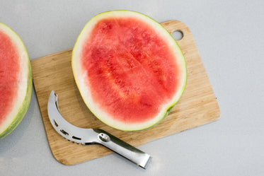watermelon scooper