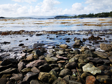 waves bubble over riverbank stones