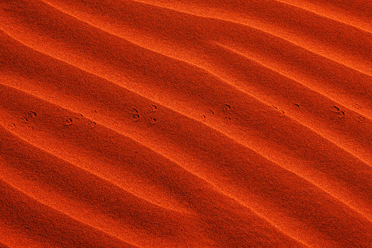 waves-in-vibrant-orange-sand-with-small-footprints.jpg?width=746&format=pjpg&exif=0&iptc=0