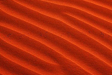 Waves In Vibrant Orange Sand With Small Footprints