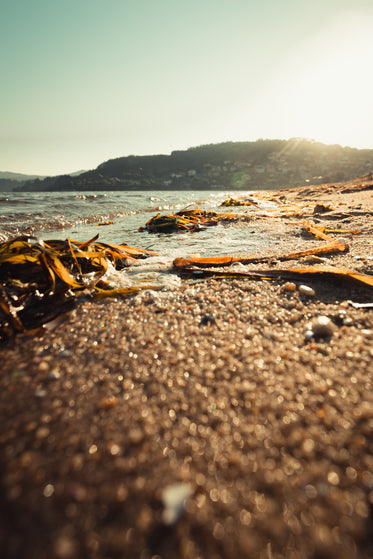 waves on the shore with hills in distance