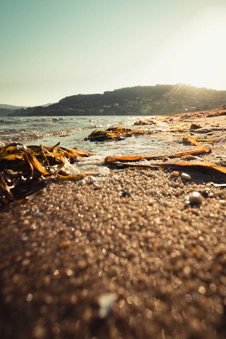 waves-on-the-shore-with-hills-in-distance.jpg?width=746&format=pjpg&exif=0&iptc=0