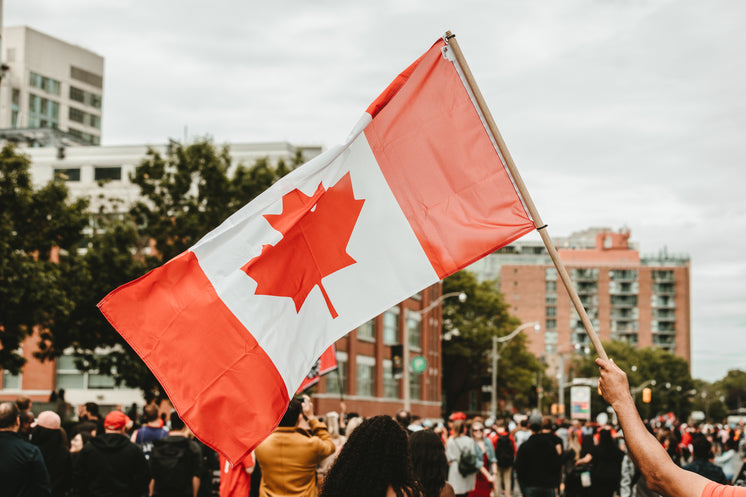 Waving A Canadian Flag