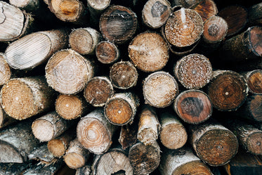 weathered logs piled high
